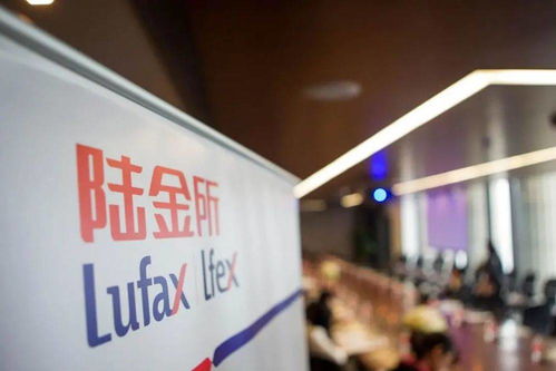 陸金所上市背后 金融科技獨角獸的金融中介本質(zhì)